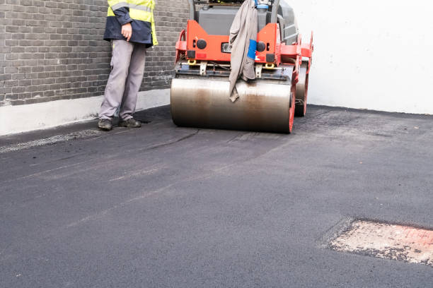 Driveway Pressure Washing in Neptune City, NJ